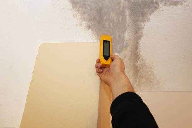 Biohazard Mold Removal in Hamilton Square, NJ