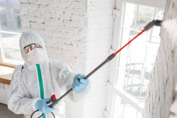Best Comprehensive Air Testing for Mold Contaminants  in Hamilton Square, NJ