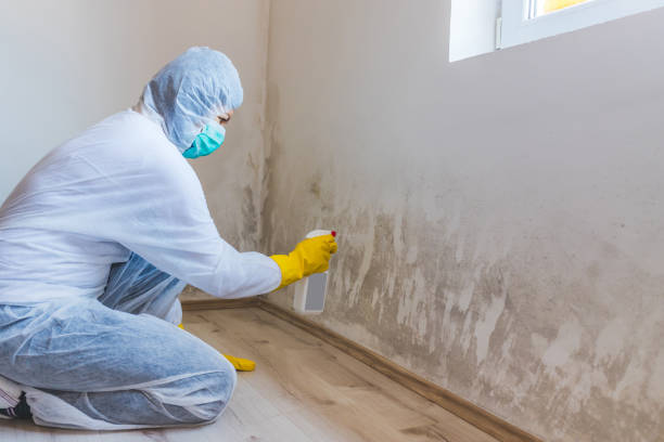 Best Biohazard Mold Removal  in Hamilton Square, NJ