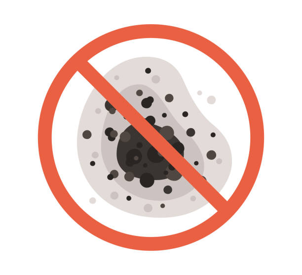 Best Environmental Consulting for Mold Prevention  in Hamilton Square, NJ