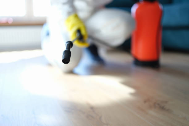 Best Industrial Mold Remediation  in Hamilton Square, NJ