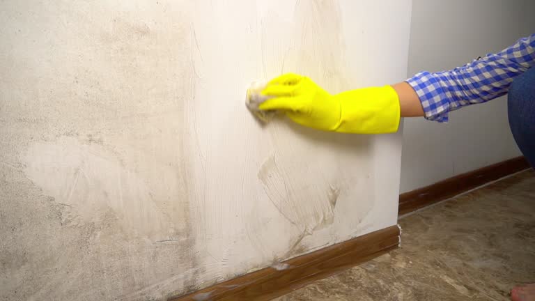 Best Post-Remediation Verification Testing  in Hamilton Square, NJ