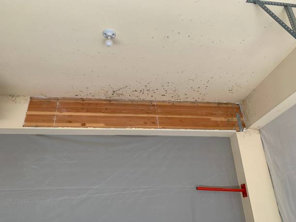 Best Residential Mold Inspection & Testing  in Hamilton Square, NJ