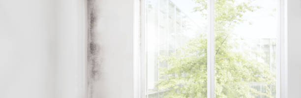 Best Indoor Air Quality Assessment  in Hamilton Square, NJ