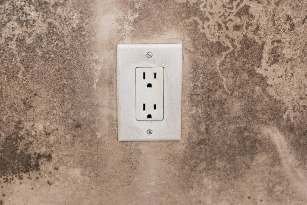 Trusted Hamilton Square, NJ Mold Removal Experts