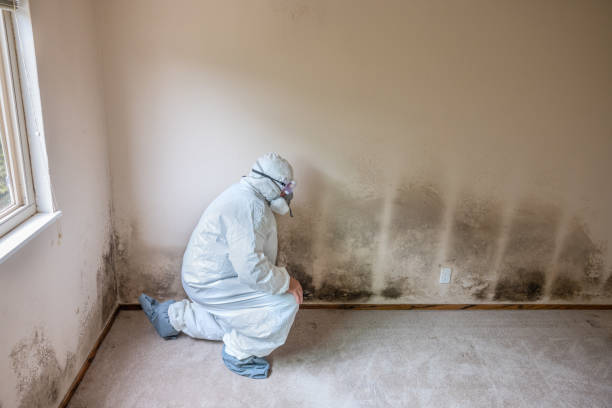 Best Mold Removal for HVAC Installations  in Hamilton Square, NJ