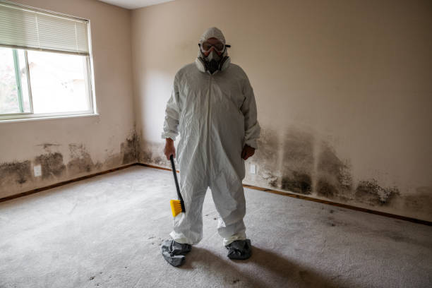 Best Emergency Mold Remediation  in Hamilton Square, NJ